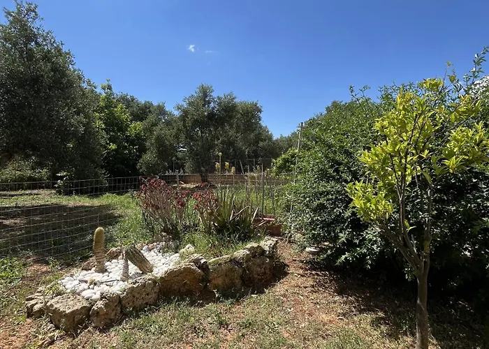 Апартаменты Margarita *